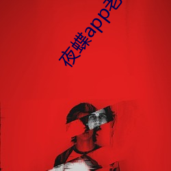 夜蝶app老版本