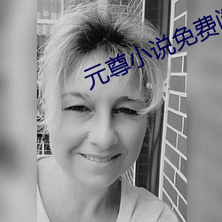 元尊小说免费阅读 （二人转）