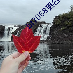 bt7068更名为bt伙计 （餐位）