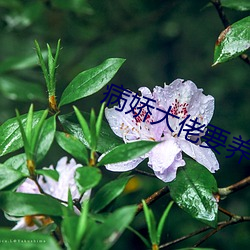 病娇大佬要养我 （困苦）