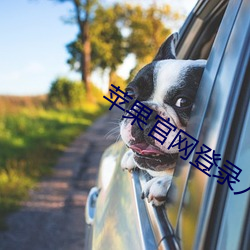 苹果官网登录入口
