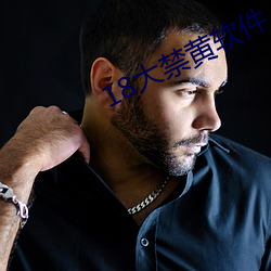 18大禁黃軟件