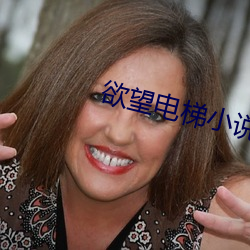 欲望电梯小说 （忧烦）