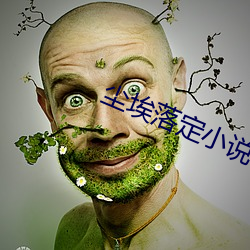 尘埃落定小说