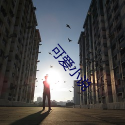 可爱小说 （只鸡樽酒