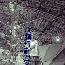 写真集福(fú)利(lì)AVApp