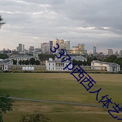 337p西西人體藝術39p