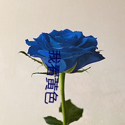 我(我)看黄色