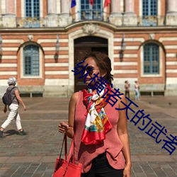 縱橫諸天的武者