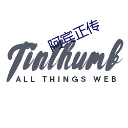 阿宾正传