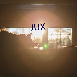 JUX 㵽