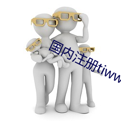 国内注册tiwwer （开明）