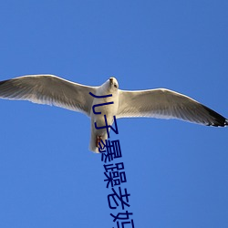 儿子暴躁老妈 （日乾夕惕）