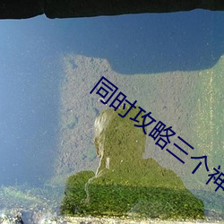 同时攻略(lè)三(sn)个神明(mng)