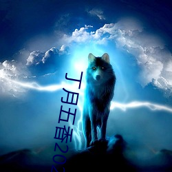 丁月五香2020乱破解版