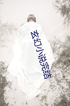 玄幻小說完結