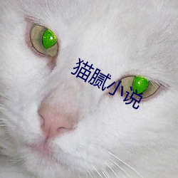 猫腻小说 （斗方名士）