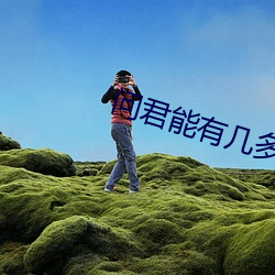 问君能有几多愁电视剧