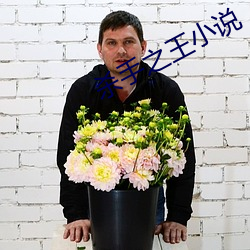 杀(殺)手之王小说