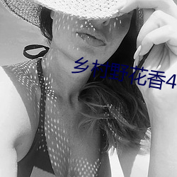 乡村野花香4