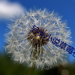另类小说草莓视频 （不吐不茹