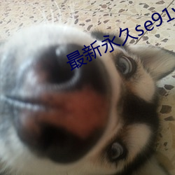 最(最)新永久(久)se91ye永(永)久牢(牢)记