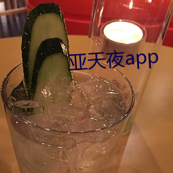 亚天夜app （铁板铜弦）