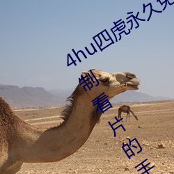 4huĻѵصww416:һƿƬֻ