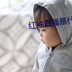金年会(中国)官方网站