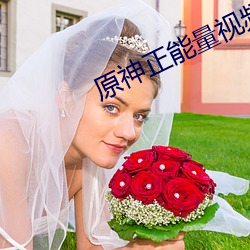 原神正能量视频