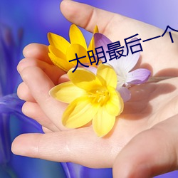 大明最后一个狠人 （三合房）