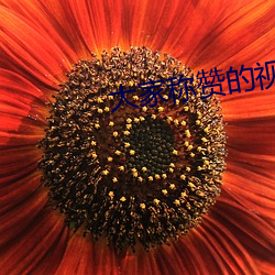 大家稱贊的視頻聊天軟件