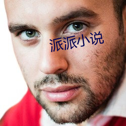 派派小說