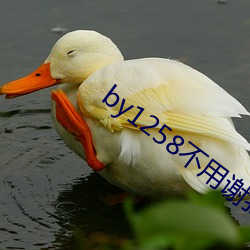 by1258不用謝我