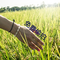 免费偷拍