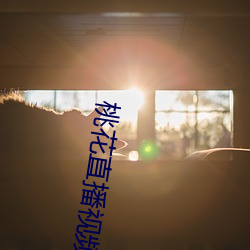 桃花直播视频免费下载 欺上瞒下）