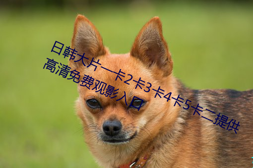 日韩大片一卡2卡3卡4卡5卡二提供高清免费观影入口 （连汤带水）