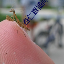 杏仁直播間app一分三