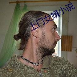 上门女(nǚ)婿小说