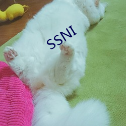 SSNI