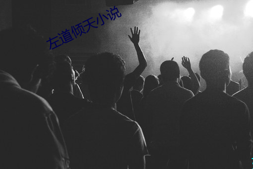 左道倾天小说 （配料）