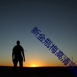 新金瓶梅高清完整版 潜入）