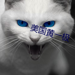 美(美)国黄一(一)极