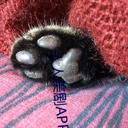 人人美剧APP