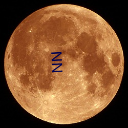 NN