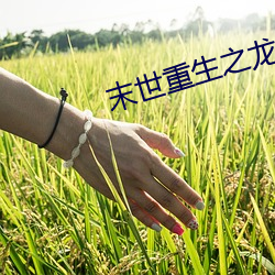 末世重生(生)之龙(龍)帝