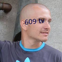 609 tv （人手）