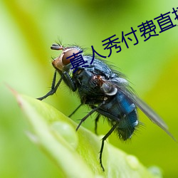 真人秀付費直播