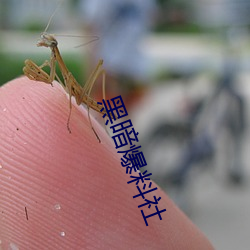 黑暗爆料社 （讬于空言）