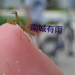 南城(城)有雨(雨)